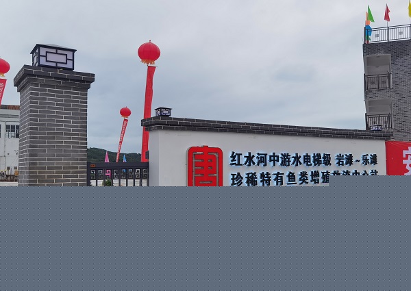 養(yǎng)魚2.jpg